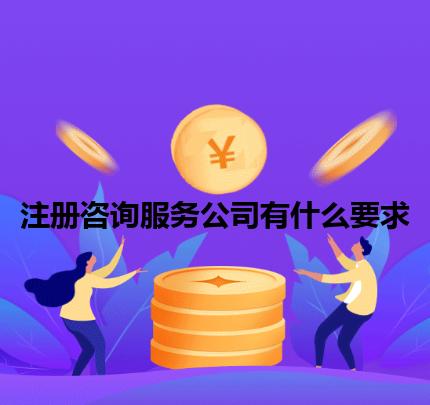 注册咨询服务公司有什么要求